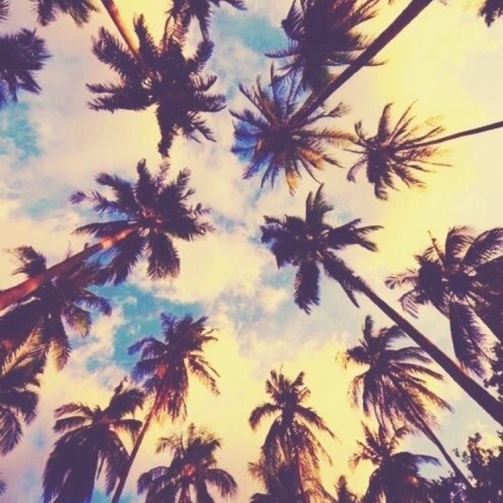 Meet your Posher, Uzo